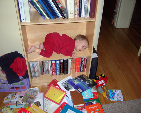 Lego laying down on the bookshelf